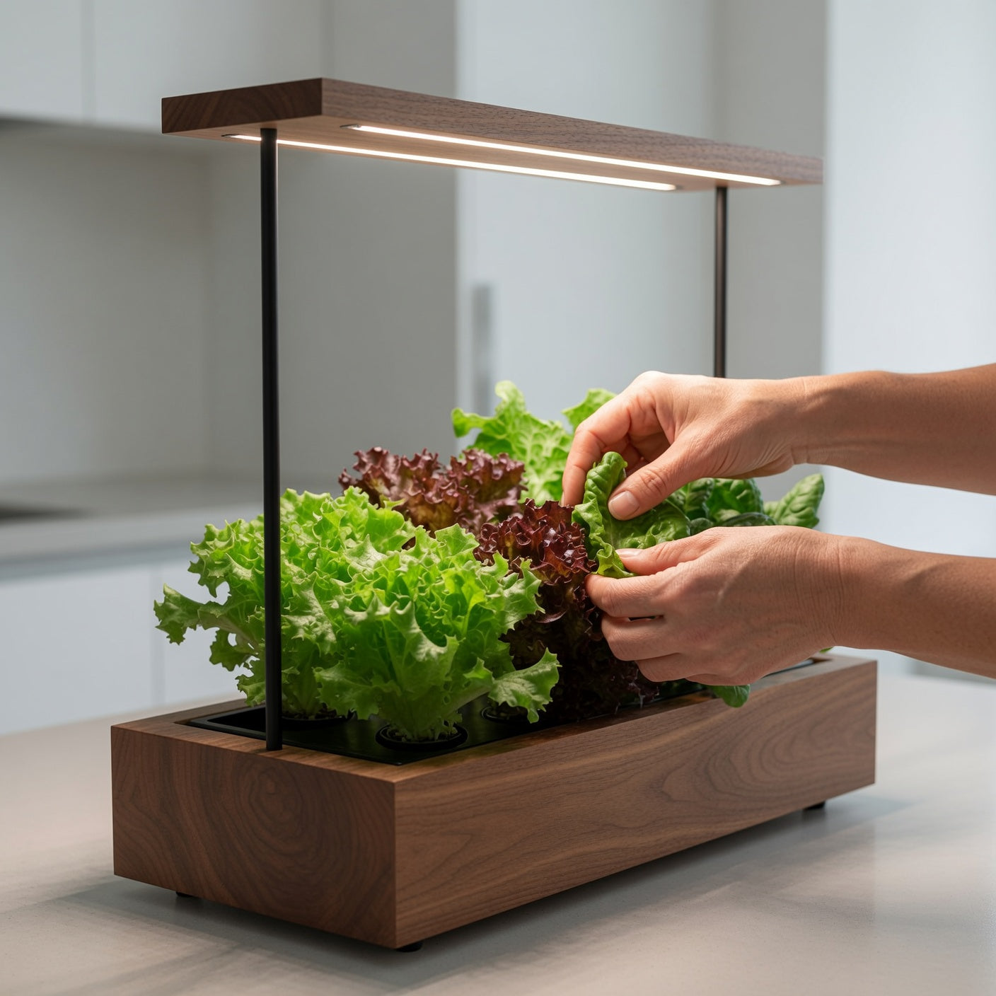 iPlant Home
