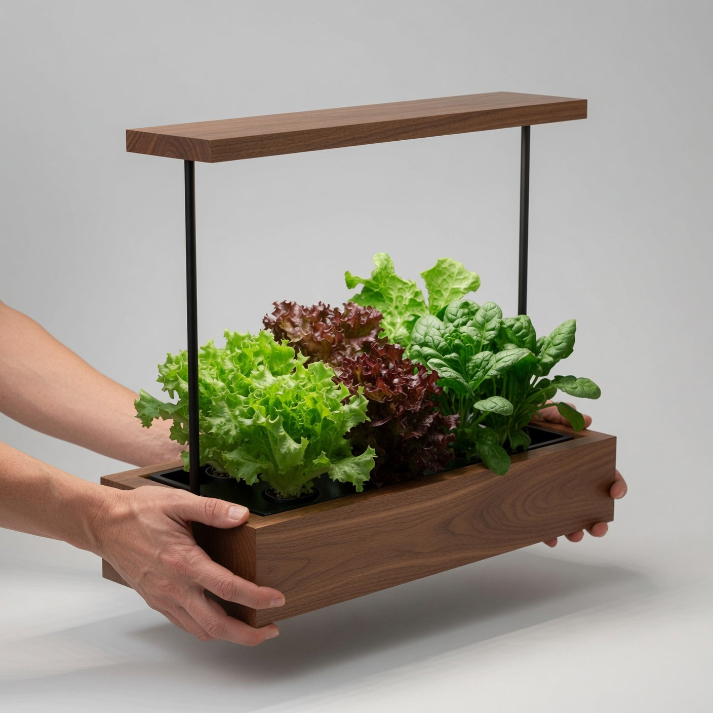 iPlant Home