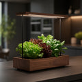 iPlant Home