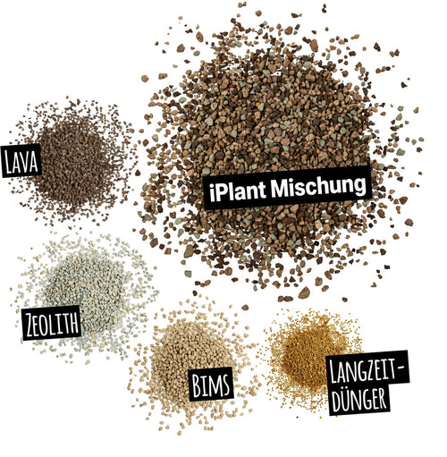 iPlant VitaSoil
