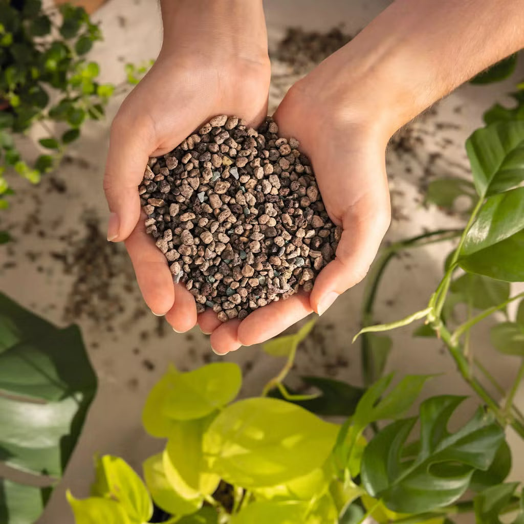 iPlant VitaSoil